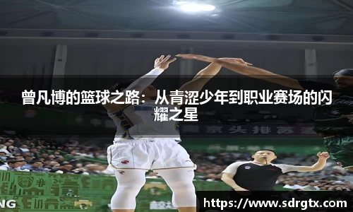qy球友会官方网站